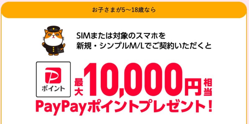★「5歳～18歳PayPayポイントプレゼントキャンペーン」オンラインストアで新規契約&対象機種セット購入で最大10,000円分のPayPayポイントが貰える