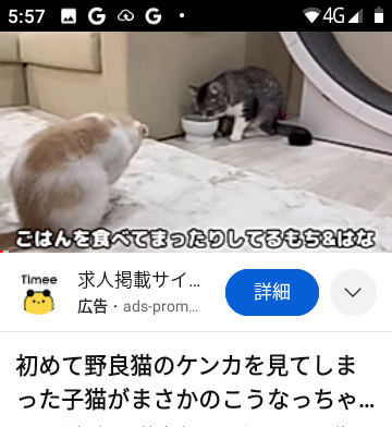 Hamic POCKETでYouTubeは問題なく視聴可能だった